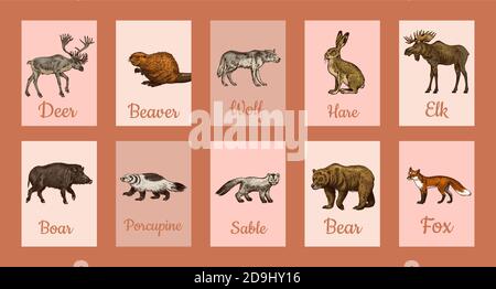 Wild Animals Banner im Vintage-Stil. Waldhirsch Biber Elch Wolf Bär Fuchs Marder Dachs Wildschwein Hase. Monochrome Retro-Poster oder Hintergründe. Nord Stock Vektor