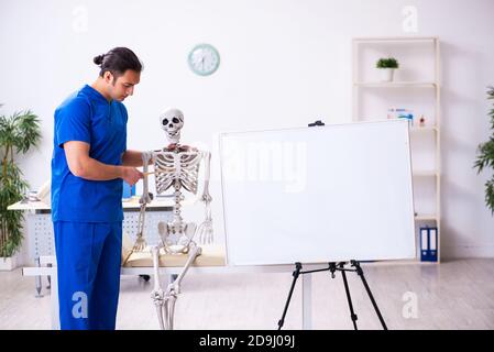 Männlicher Doktor Dozent demonstriert Skelett Stockfoto