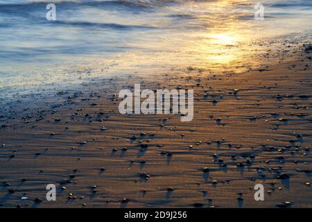 Kleine Kieselsteine verstreut auf einem Sandstrand in Mendocino, Kalifornien. Langzeitbelichtung mit verschwommenem Wasser bei Sonnenuntergang. Stockfoto