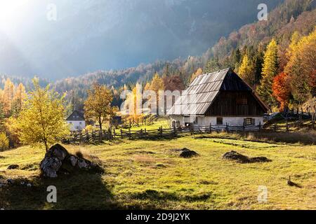 Typische Landschaft im Trentatal im Herbst, Slowenien Stockfoto