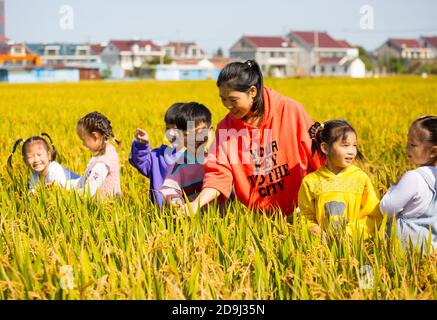 Eine Kindergärtnerin nimmt Kinder mit, um in den goldenen Reisfeldern zu malen, um den kommenden Herbst in Rugao City, der ostchinesischen Provinz Jiangsu, zu begrüßen. Stockfoto