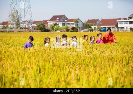 Eine Kindergärtnerin nimmt Kinder mit, um in den goldenen Reisfeldern zu malen, um den kommenden Herbst in Rugao City, der ostchinesischen Provinz Jiangsu, zu begrüßen. Stockfoto