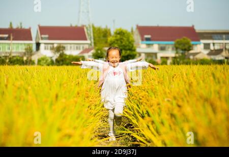 Eine Kindergärtnerin nimmt Kinder mit, um in den goldenen Reisfeldern zu malen, um den kommenden Herbst in Rugao City, der ostchinesischen Provinz Jiangsu, zu begrüßen. Stockfoto