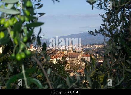 Blick auf die Stadt arezzo von der Landschaft unter Die Olivenbäume Stockfoto