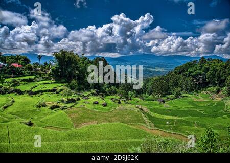 Reisfelder und Dorf in Batutumonga, Tana Toraja, Süd-Sulawesi, Indonesien Stockfoto