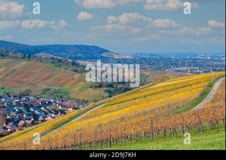 Struempfelbach - Weinbaugebiet Weinstadt - schöne Landschaft im Herbst bei Stuttgart, Baden-Württemberg, Deutschland Stockfoto