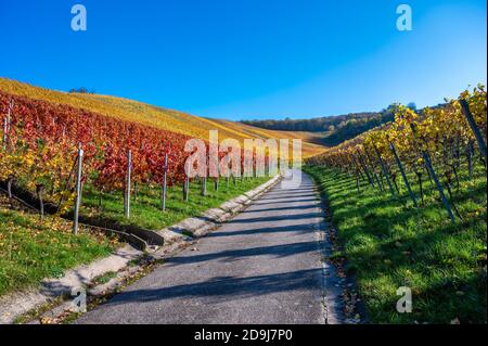 Struempfelbach - Weinbaugebiet Weinstadt - schöne Landschaft im Herbst bei Stuttgart, Baden-Württemberg, Deutschland Stockfoto