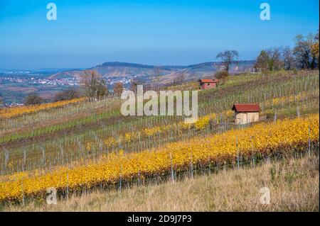 Struempfelbach - Weinbaugebiet Weinstadt - schöne Landschaft im Herbst bei Stuttgart, Baden-Württemberg, Deutschland Stockfoto