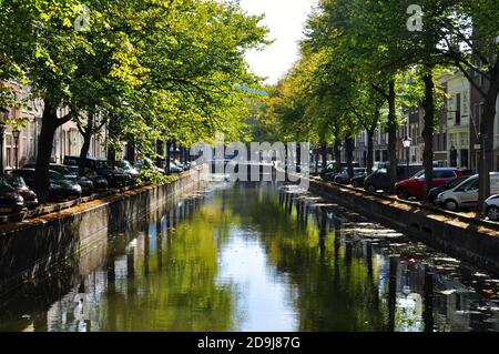 Perspektivischer Blick auf einen von Bäumen gesäumten Kanal in Amsterdam, gesäumt von geparkten Autos und Bäumen Stockfoto