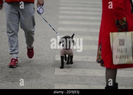 Bürger auf der Straße tragen Wintermantel als die Temperatur stark sinkt, wie die Saison ändert, Kunming Stadt, Südwesten Chinas¯s Yunnan Provinz, 19 O Stockfoto