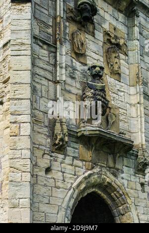 Warkworth Castle, die Überreste einer mittelalterlichen Burg aus dem 12. Jahrhundert, jetzt unter der Obhut des englischen Erbes; Northumberland, Großbritannien Stockfoto