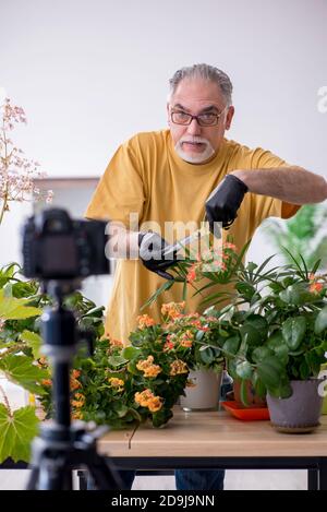 Alter männlicher Gärtner mit Pflanzen zu Hause Stockfoto
