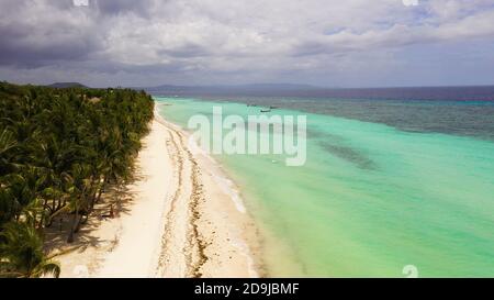 Luftaufnahme des tropischen Strandes auf der Insel Panglao, Philippinen. Seascape mit Strand. Stockfoto