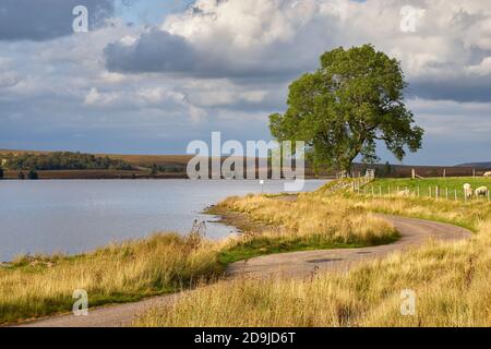 Einspurige Straße neben Lochindrob, Badenoch und Strathspey, Highland, Schottland. Stockfoto