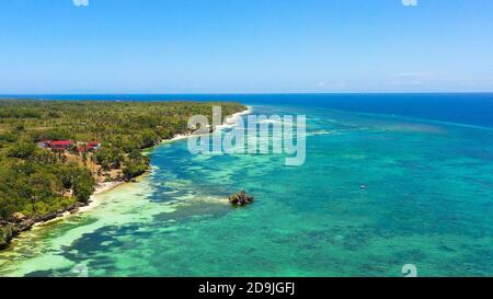 Schöner Sandstrand und türkisfarbenes Wasser in Anda Resort, Philippinen. Stockfoto