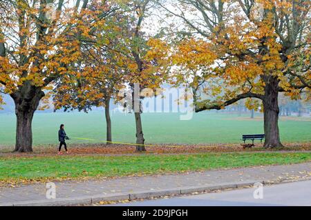 London, Großbritannien. November 2020. Am zweiten Tag der Sperre trainieren die Menschen auf Wandsworth Common. Kredit: JOHNNY ARMSTEAD/Alamy Live Nachrichten Stockfoto