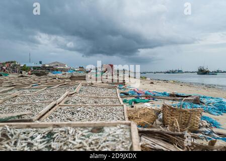 MUI ne fishemans Dorf. Traditionelles vietnamesisches Boot im Korb geformt in Fischerdorf Mui Ne, Vietnam, Asien Stockfoto