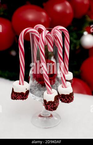 Weihnachtsbonbon mit Marshmallows in Schokolade dekoriert. Bonbon hängt auf einem Glas mit einer roten Rose. Relativer Baum im Hintergrund. Stockfoto