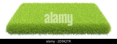 Grüner Grasteppich auf weißem Hintergrund. 3d-Rendering Stockfoto