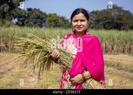 Frau mit Reisfeld in Indien. Hochwertige Fotos Stockfoto