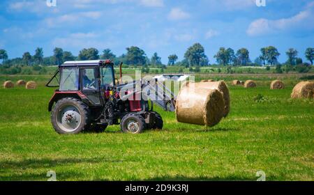 Roter Traktor mit Heuballenrollen - Stapeln auf Stapel. Die landwirtschaftliche Maschine, die die Ballen des Heus auf dem Feld sammelt Stockfoto