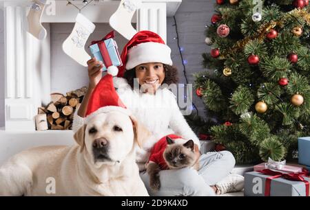 Fröhliche afroamerikanische Mädchen halten weihnachtsgeschenk in der Nähe labrador Hund Bei unscharfem Vordergrund Stockfoto