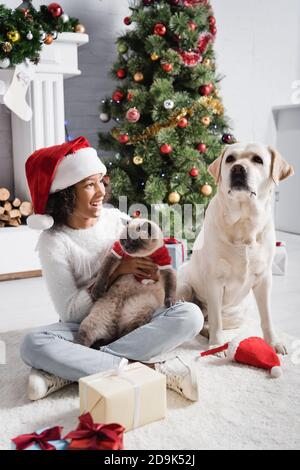 Aufgeregt afroamerikanische Mädchen Blick auf labrador Hund während halten Katze in der Nähe von weihnachtsbaum Stockfoto