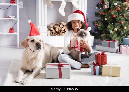 Lächelndes afroamerikanisches Mädchen streichelte Katze in der Nähe von labrador Hund, weihnachtsbaum und Geschenkboxen Stockfoto