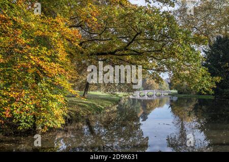 Herbstfarben kommen im Painshill Park in Cobham Surrey an Stockfoto