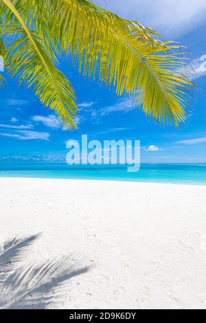 Vertikale breite Paradies Strand Panorama Hintergrund mit Kokopalmen. Sonnige Sommerlandschaft, Strandlandschaft, Paradies Insel Konzept Stockfoto
