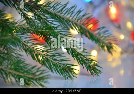 Zweig eines Weihnachtsbaums auf einem Hintergrund von Weihnachten Lichter Neujahr Hintergrund, kein Fokus, Unschärfe, verschwommen Nahaufnahme des Weihnachtsbaum Hintergrund Stockfoto