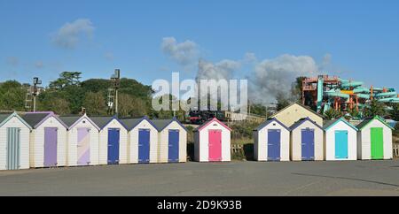 Dampfzug, der Goodrington auf der Dartmouth Steam Railway passiert. Stockfoto