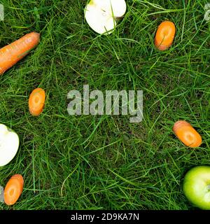 Obst auf Gras, Karotte Apfel Ingwer Kürbis frische gesunde Lebensmittel Hände Stockfoto