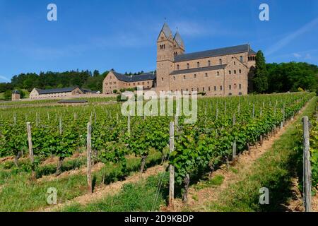 Kloster St. Hildegard bei Rüdesheim am Rhein, Rheintal, Hessen, Deutschland Stockfoto