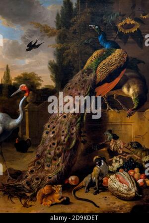 Peacocks, Melchior d'Hondecoeter, 1683, Metropolitan Museum of Art, Manhattan, New York City, USA, Nordamerika Stockfoto