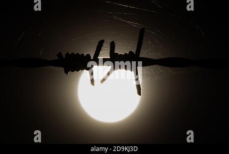 06. November 2020, Niedersachsen, Georgsmarienhütte: Stacheldraht ist gegen das Licht der Sonne zu sehen. Foto: Friso Gentsch/dpa Stockfoto