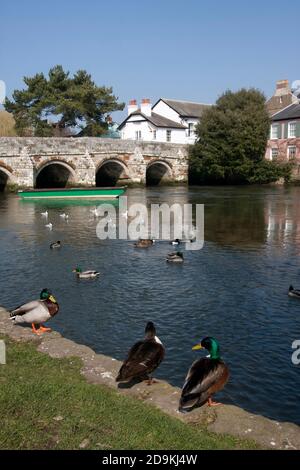 Town Bridge, Castle Street, Christchurch, Dorset, England Stockfoto