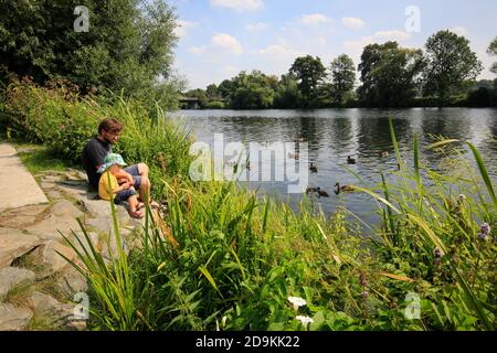 Essen, Nordrhein-Westfalen, Ruhrgebiet, Deutschland, Ruhrpromenade im Stadtteil Steele sitzen Vater und Sohn am Ruhrufer und füttern Enten, fotografiert anlässlich der Grünen Hauptstadt Europas Essen 2017. Stockfoto