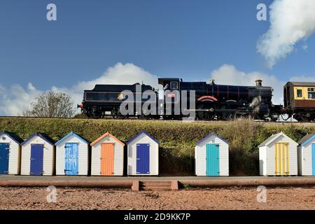 Dampfzug, der Goodrington auf der Dartmouth Steam Railway passiert. Stockfoto