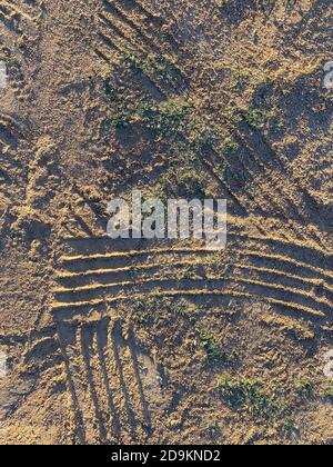 Reifenspuren in sonnigen Wüste Sand Schatten Gras geeignet für Website Marketing Hintergrund Hintergrund Einstellung Landschaft Layout Muster Dekoration Gruß c Stockfoto