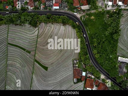 Ansicht oder Luftaufnahme von frischen grünen und gelben Reisfeldern. Luftaufnahme von gepflanzten Reisfeldern und ländlichen Dörfern, Geometrie der Landwirtschaft. Bali Stockfoto