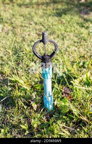 Sprinklerbewässerung im Garten.auf dem Rasen Stockfoto