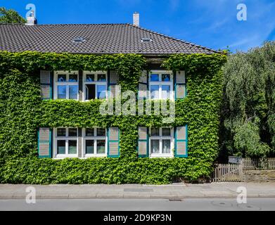 Essen, Ruhrgebiet, Nordrhein-Westfalen, Deutschland, mit Efeu bewachsene Hausfassade, Siedlung Margarethenhöhe, gilt als erste deutsche Gartenstadt, die 115 Hektar große Siedlung der Margarethe Krupp Stiftung ist ein Beispiel menschenfreundlichen Lebens und ein Anblick im Ruhrgebiet. Stockfoto