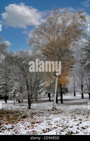 Walpole, New Hampshire, USA. 2020. Eine Herbstszene auf dem Land nach dem ersten Schnee der Saison. Stockfoto