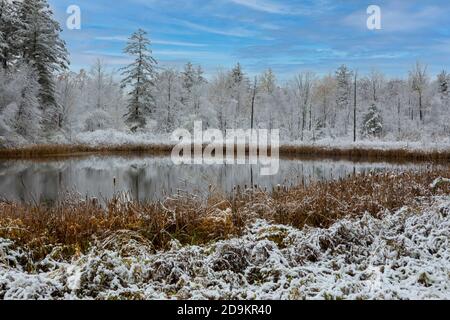 Walpole, New Hampshire, USA. 2020. Eine frühe Winterszene am Rande eines Sees in New Hampshire, USA. Nach einem frühen Schneefall. Stockfoto