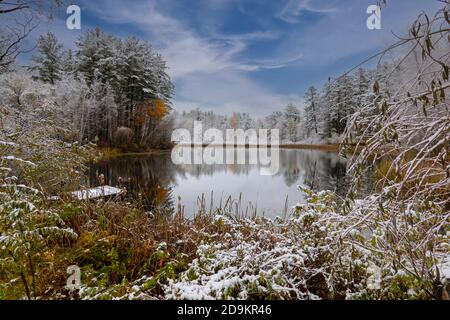 Walpole, New Hampshire, USA. 2020. Eine frühe Winterszene am Rande eines Sees in New Hampshire, USA. Nach einem frühen Schneefall. Stockfoto