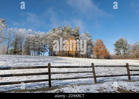 Walpole, New Hampshire, USA. 2020. Ein leichter Schneefall bedeckt ein Feld mit einem Hauch von Herbstblättern auf den Bäumen in New Hampshire. Stockfoto