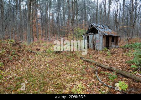 Walpole, New Hampshire, USA. 2020. Ein altes Holzgebäude, das im Herbst in New Hampshire, USA, am Waldrand steht. Stockfoto