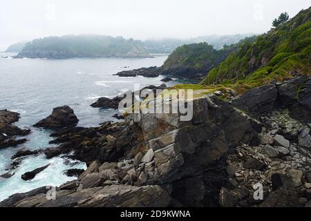 Atemberaubende Aussicht auf Reisende auf steilen Klippen. Drone Blick von oben auf zerklüftete felsige Küste des Pazifischen Ozeans und regnerisches Wetter mit Nebel. Stockfoto