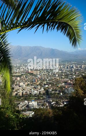 Santiago de Chile Luftbild Stadt durch Palmenblätter gegen blauen Himmel. Santiago, Chile Stockfoto